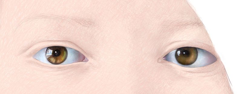 800x313 Color Pencil Portraits - Eye Drawing Color