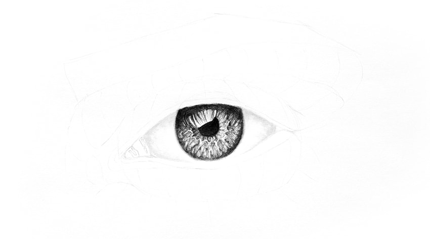 850x472 How To Draw A Realistic Eye - Eye Drawing Images