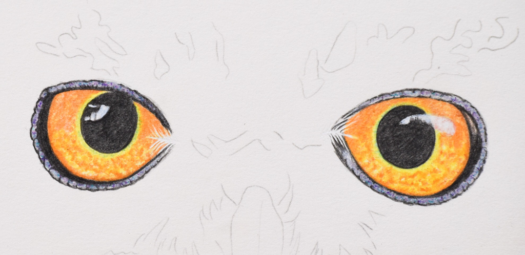 1024x498 How To Draw Owl Eyes - Eye Drawing Images
