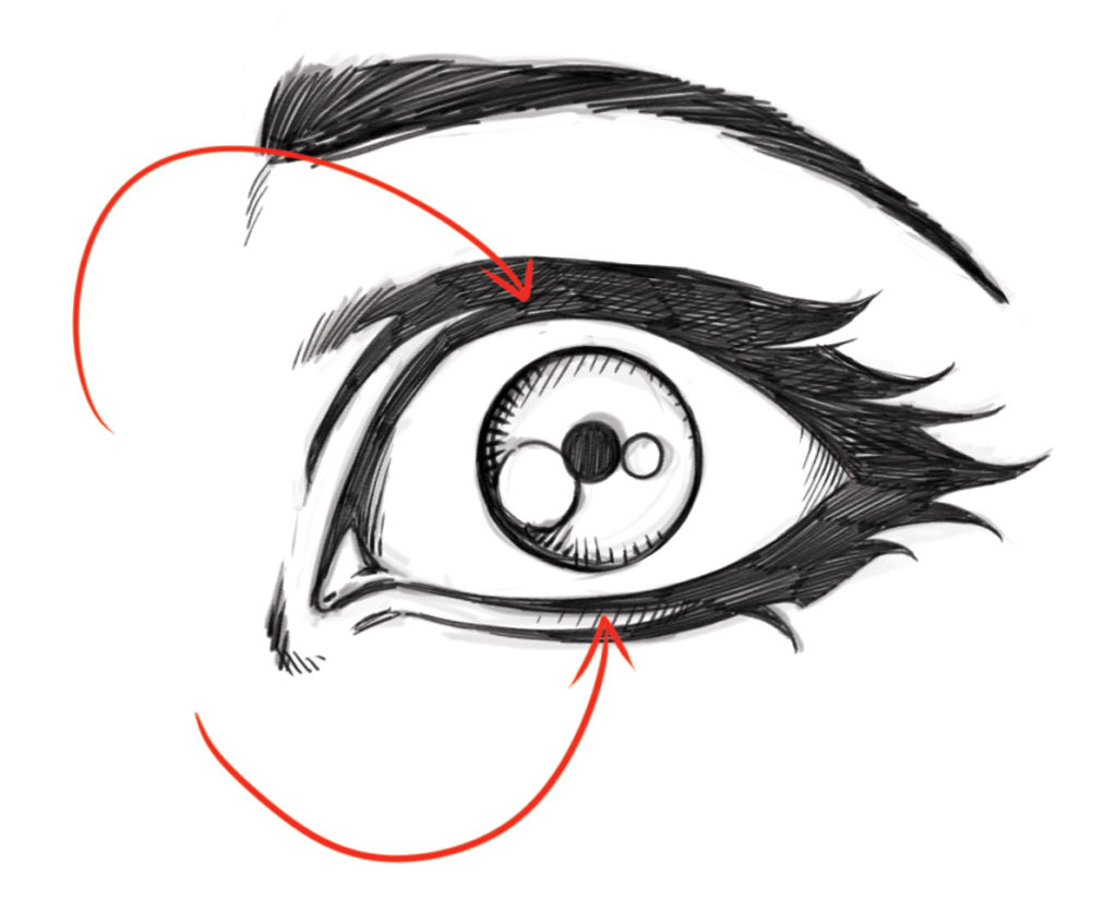 1024x825 Eye Drawing Proportions And Shapes - Eye Drawing Images