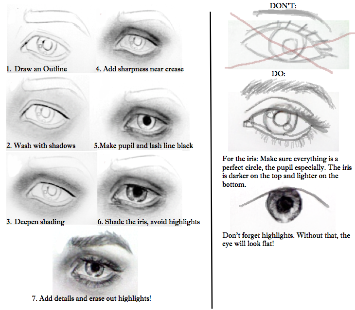 730x639 How To Draw Female Eyes Step - Eye Drawing Step By Step