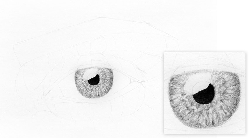 850x472 How To Draw A Realistic Eye - Eye Drawing Step By Step