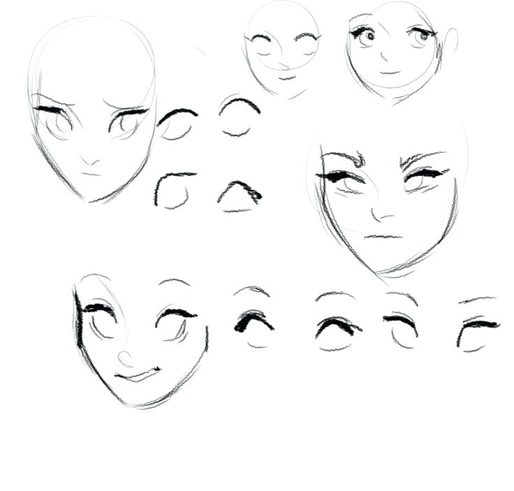 Featured image of post Face Drawing Template Anime free for commercial use high quality images