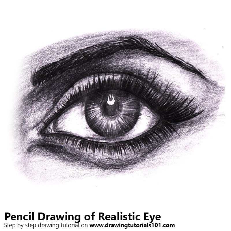 800x800 Realistic Eyes Pencil Drawing - Eye Drawing Tutorial