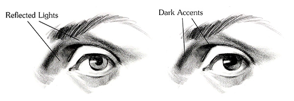 600x208 How To Draw Eyes - Eye Line Drawing