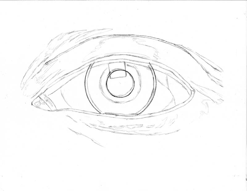 Eye Line Drawing at PaintingValley.com | Explore collection of Eye Line ...