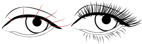 600x188 Creating A Stylish Line Art Portrait With Illustrator - Eye Line Drawing