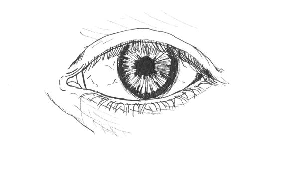 600x340 Eye Lineal Drawing - Eye Line Drawing