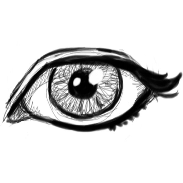 600x600 Eyeball Clipart Eye Drawing - Eye Outline Drawing