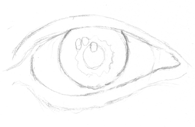 400x261  - Eye Outline Drawing