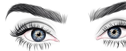 500x201 Eyes, Outline, And Blue Image - Eye Outline Drawing