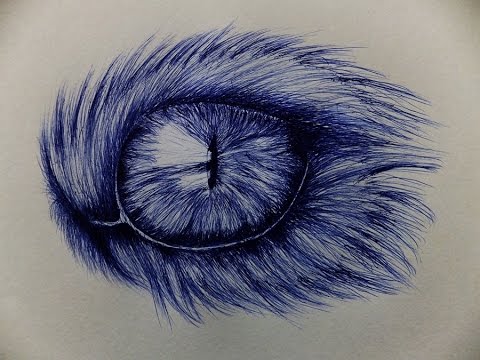 480x360 Cat Eye Drawing With Ballpoint Pen - Eye Pen Drawing