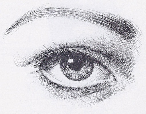 510x401 Gallery Eye Pencil Sketch Drawing - Eye Pencil Drawing