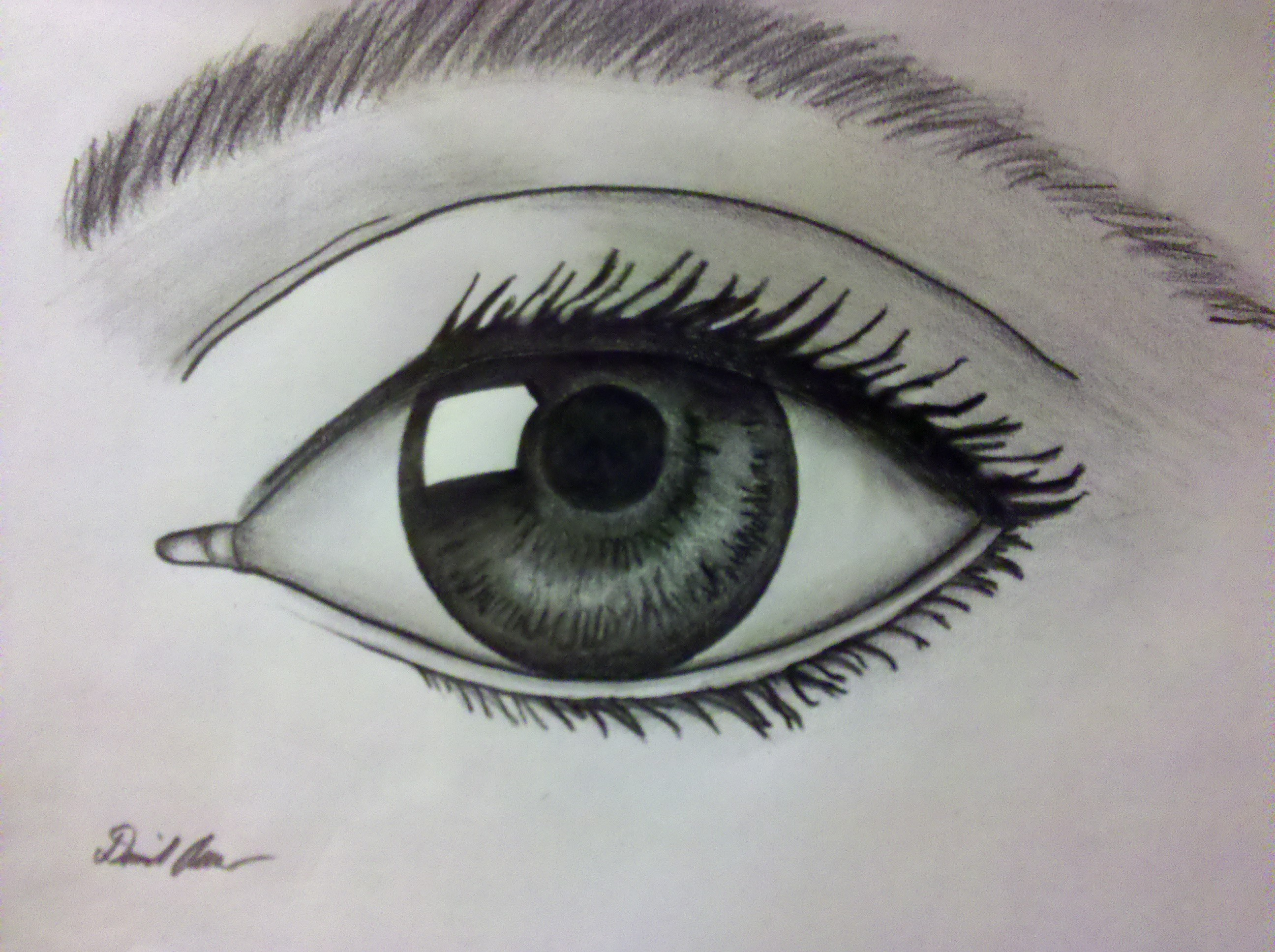 Eye Pencil Drawing at Explore collection of Eye