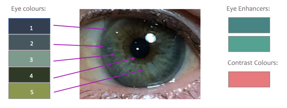 1000x379 pupil drawing dark brown transparent png clipart free download - Eye Pupil Drawing