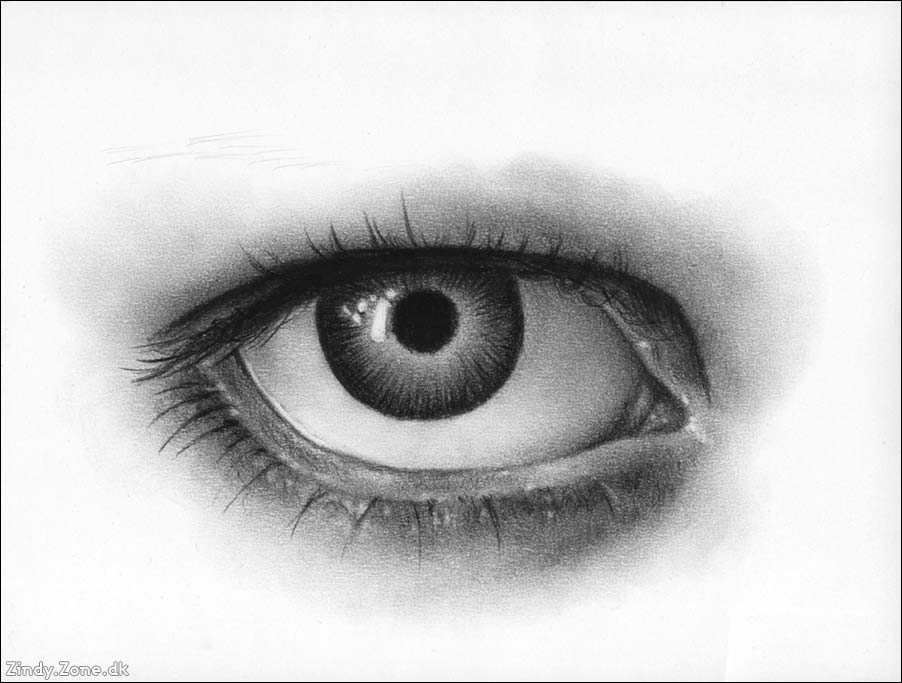 902x683 zindy zone dk - Eye Pupil Drawing