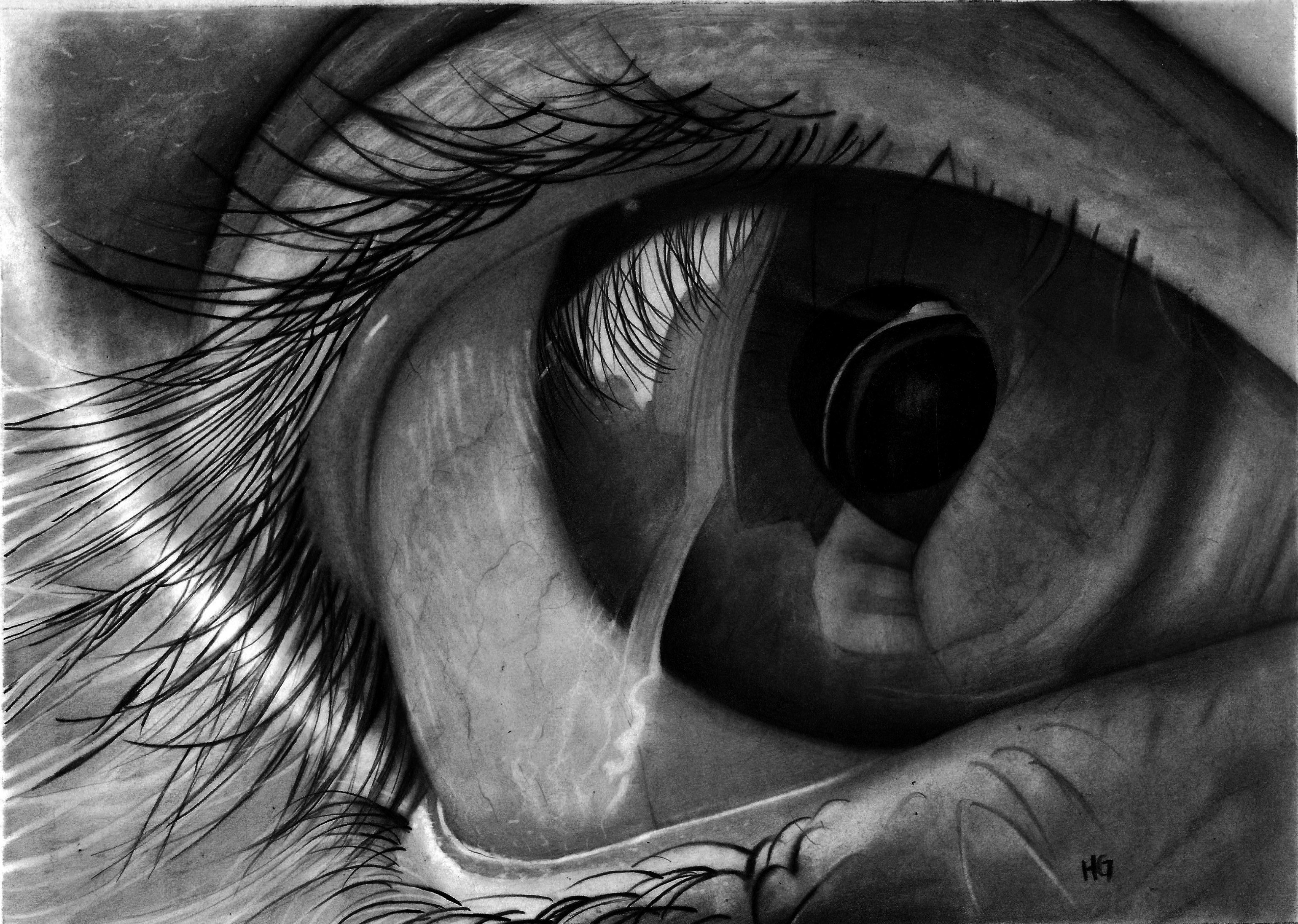Eye Reflection Drawing at Explore collection of