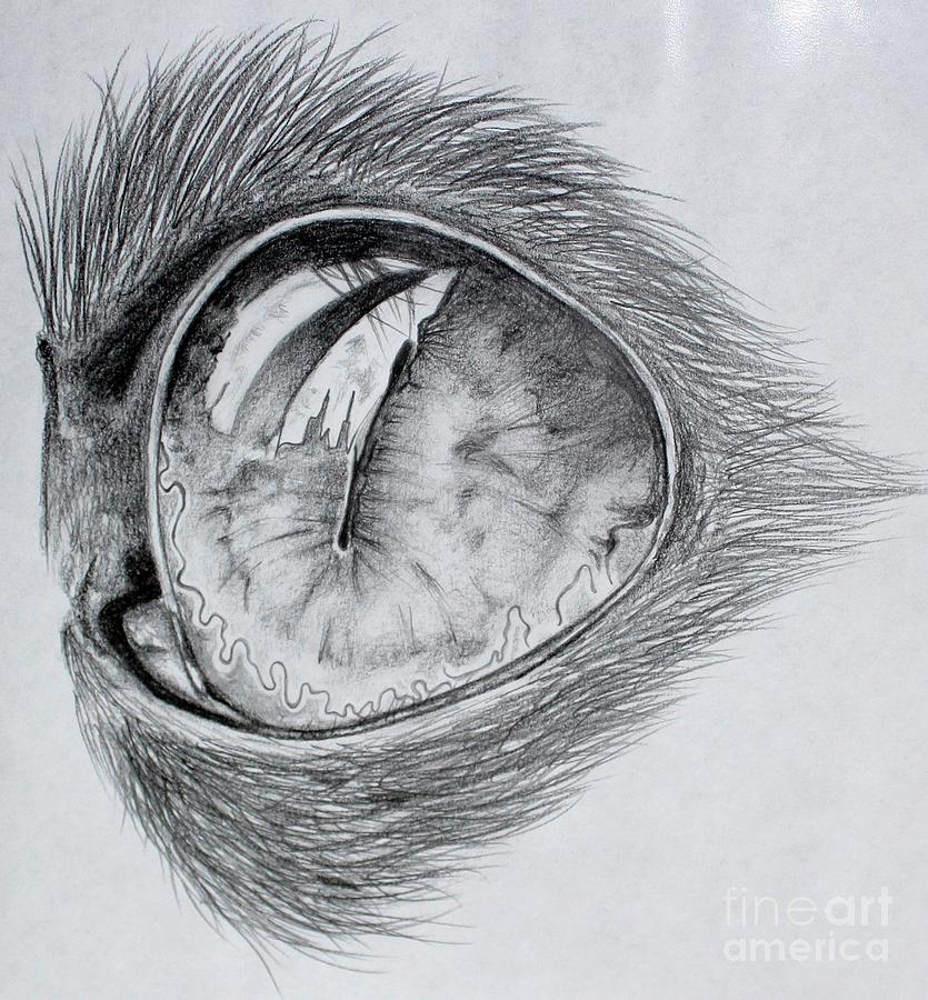 835x900 reflection drawing - Eye Reflection Drawing