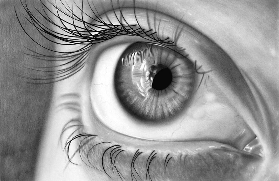 Eye Reflection Drawing at PaintingValley.com | Explore collection of ...