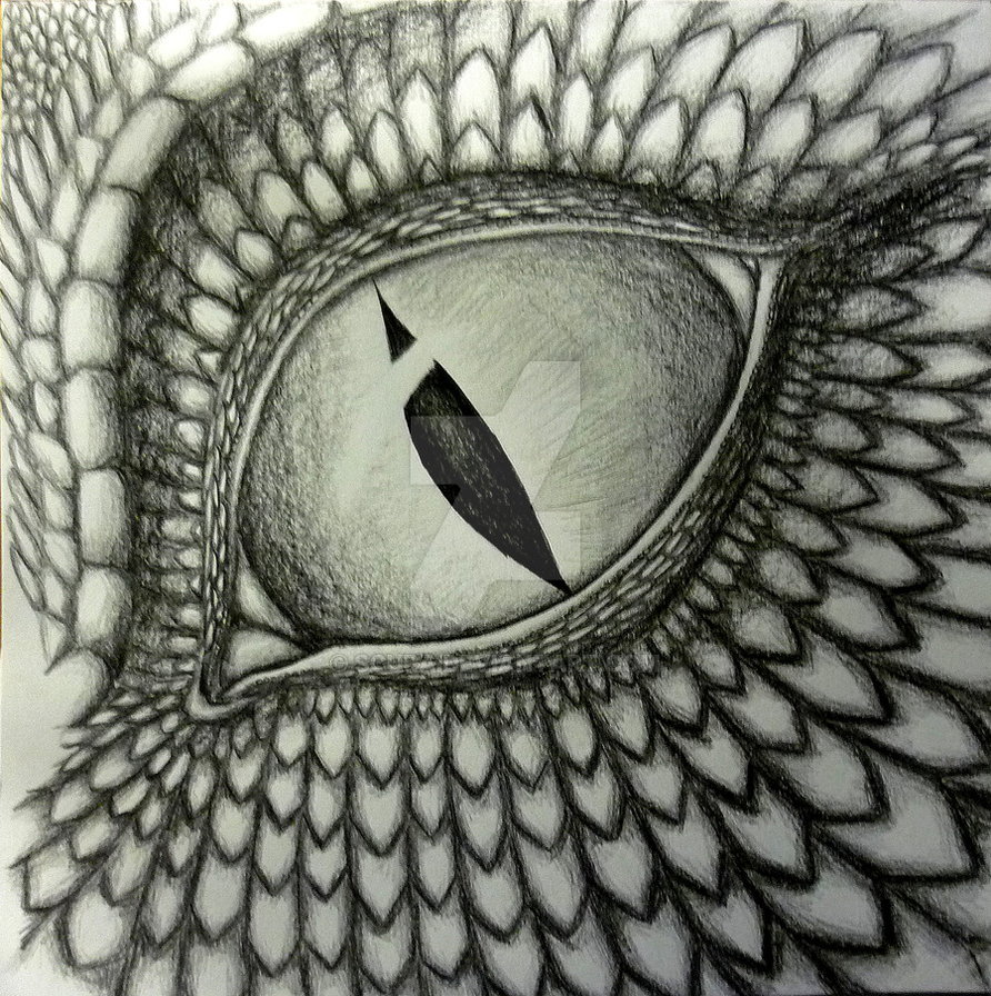 892x896 Dragon Eye Tattoo Sketch - Eye Tattoo Drawing