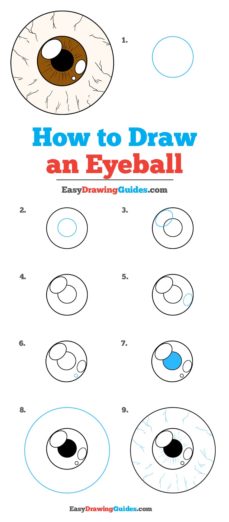 736x1677 how to draw an eyeball - Eyeball Drawing