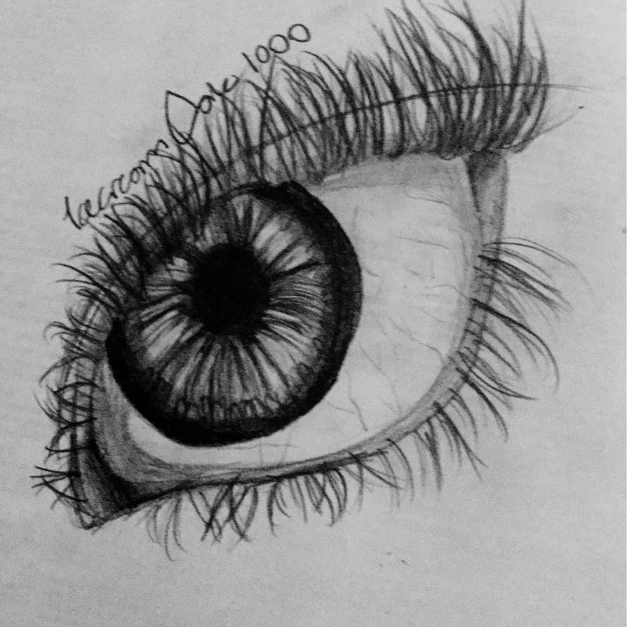 Eyeball Drawing Images at PaintingValley.com | Explore collection of ...