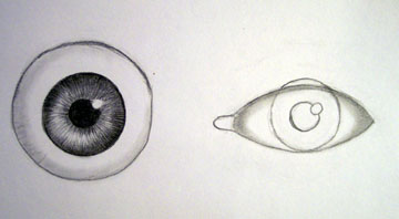 360x198 Help With Drawing Eyes - Eyeball Drawing Images