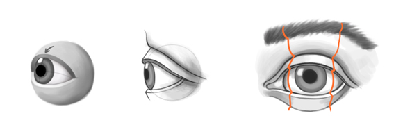 580x193 jeff searle drawing the eye - Eyeball Drawing Images