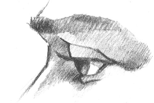 500x337 More Than Meets The Eye - Eyeball Drawing Images