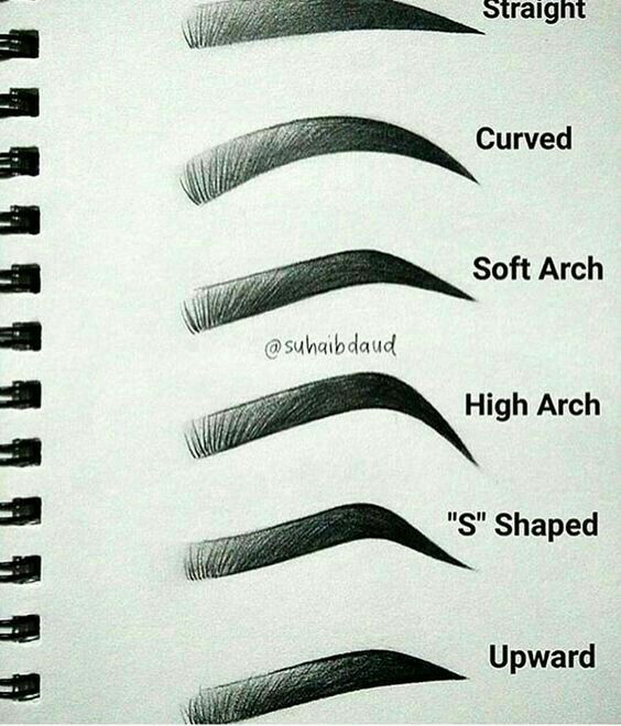 564x660 eyebrows shapes of eyebrows eyebrow shapes eyebrow shape makeup - Eyebrow Drawing