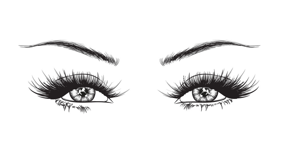 Eyebrows And Eyelashes Drawing at PaintingValley.com | Explore ...