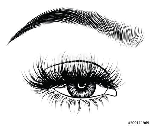 Eyebrows And Eyelashes Drawing At Explore Collection Of Eyebrows And