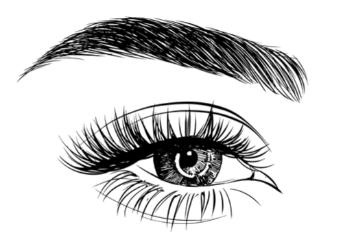 Eyebrows And Eyelashes Drawing at PaintingValley.com | Explore ...