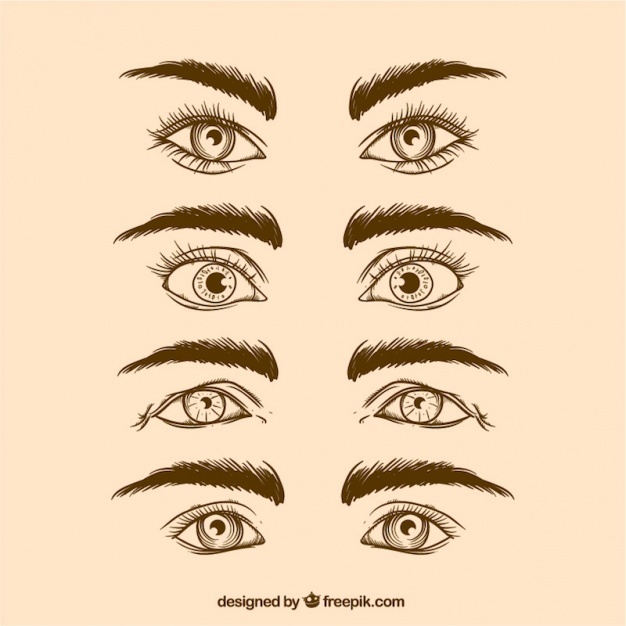 626x626 eyebrows vectors, photos and free download - Eyebrows And Eyelashes Drawing