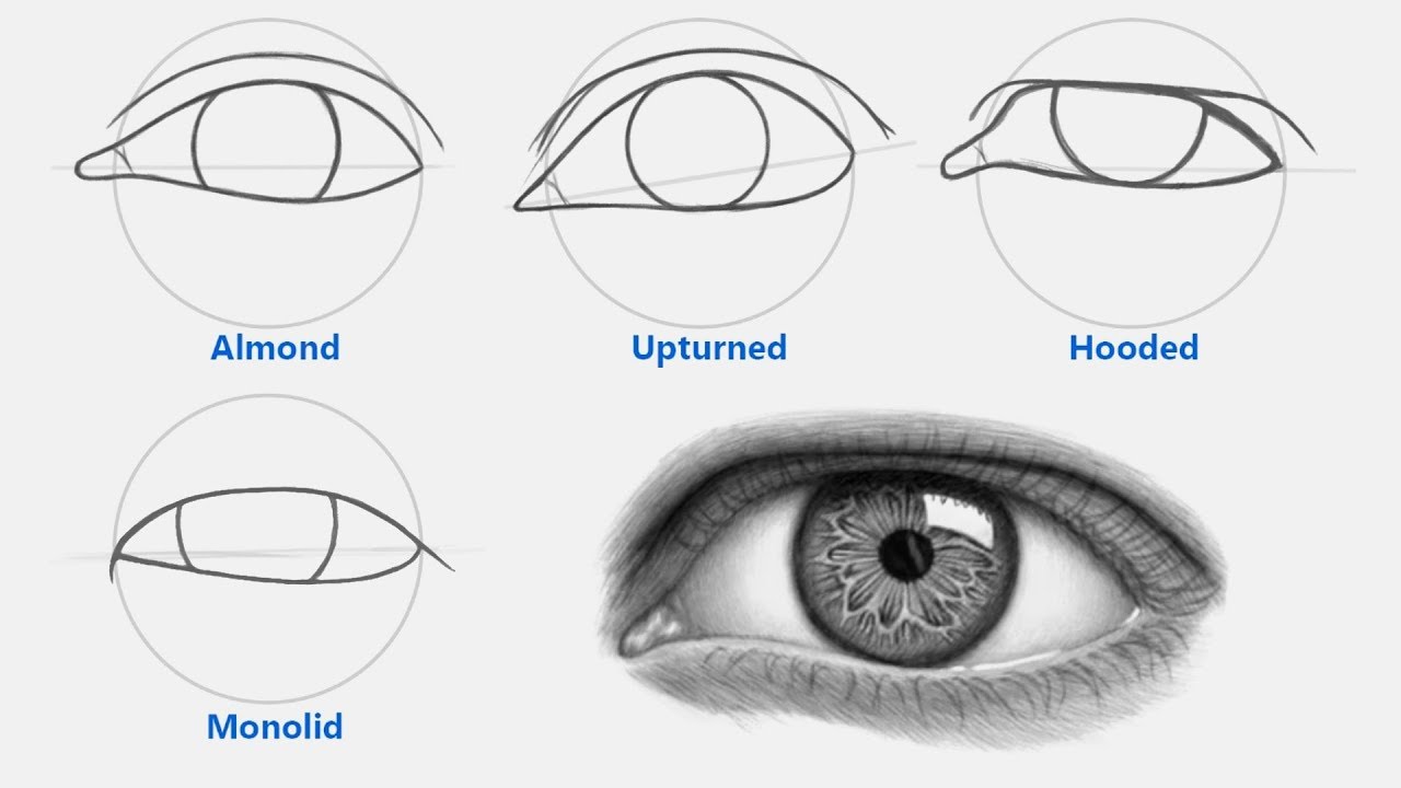 1280x720 how to draw different eye shapes unique - Eyelid Drawing