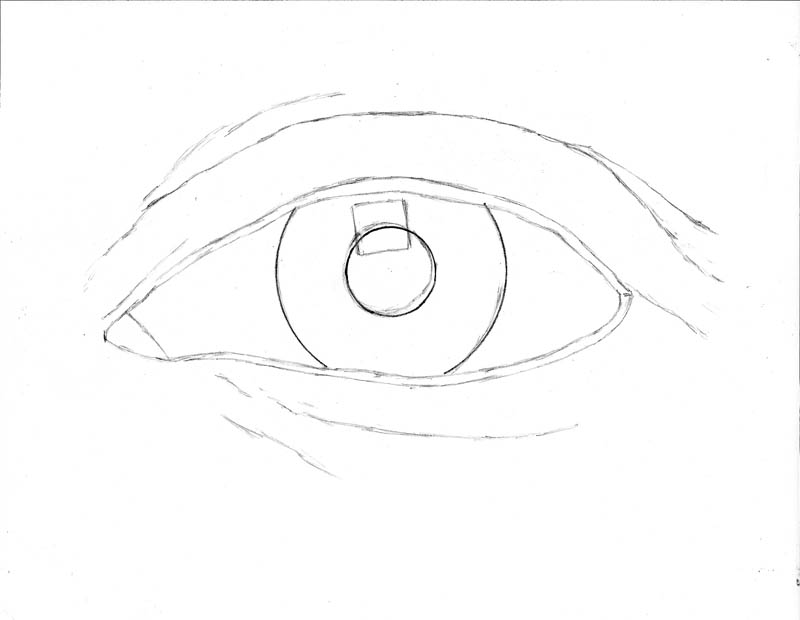 800x620 how to draw an eye realistically - Eyelid Drawing