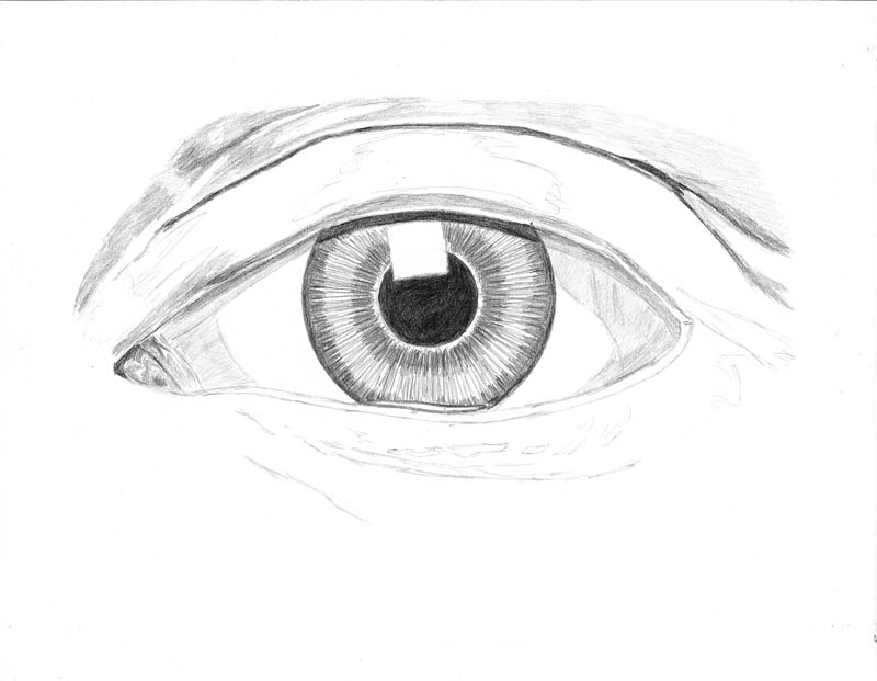 Eyelid Drawing at PaintingValley.com | Explore collection of Eyelid Drawing