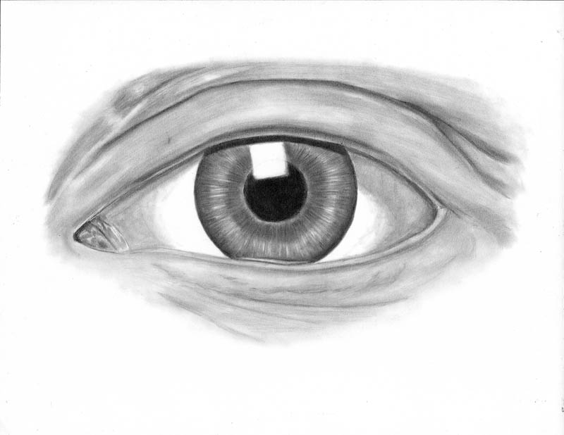 800x618 how to draw an eye realistically - Eyelid Drawing
