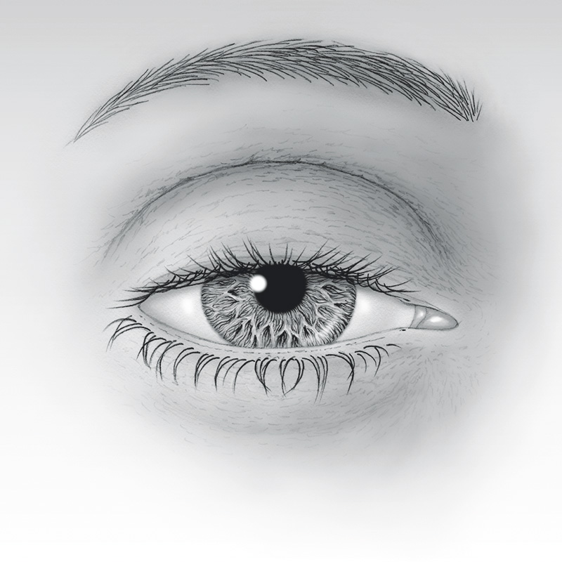 800x800 droopy eyelids - Eyelid Drawing