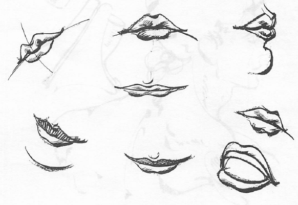 582x401 Drawing The Human Face How To Draw Head, Eyes, Nose, Mouth, Ears - Eyes And Lips Drawing