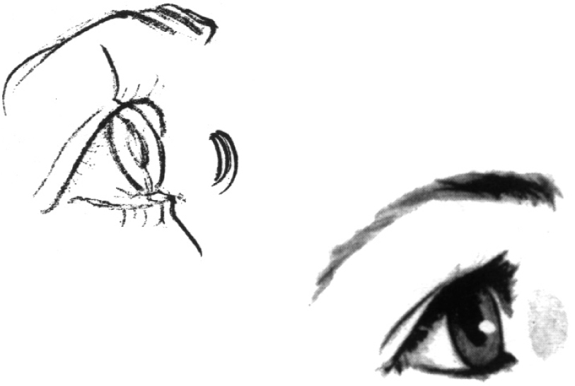 813x546 Children's Features Eyes Lips - Eyes And Lips Drawing