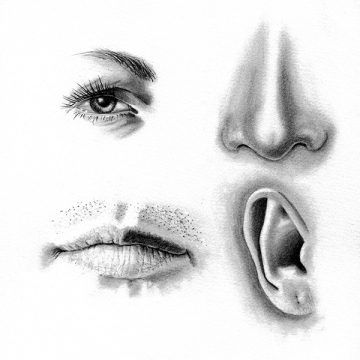 Eyes And Nose Drawing at PaintingValley.com | Explore collection of ...