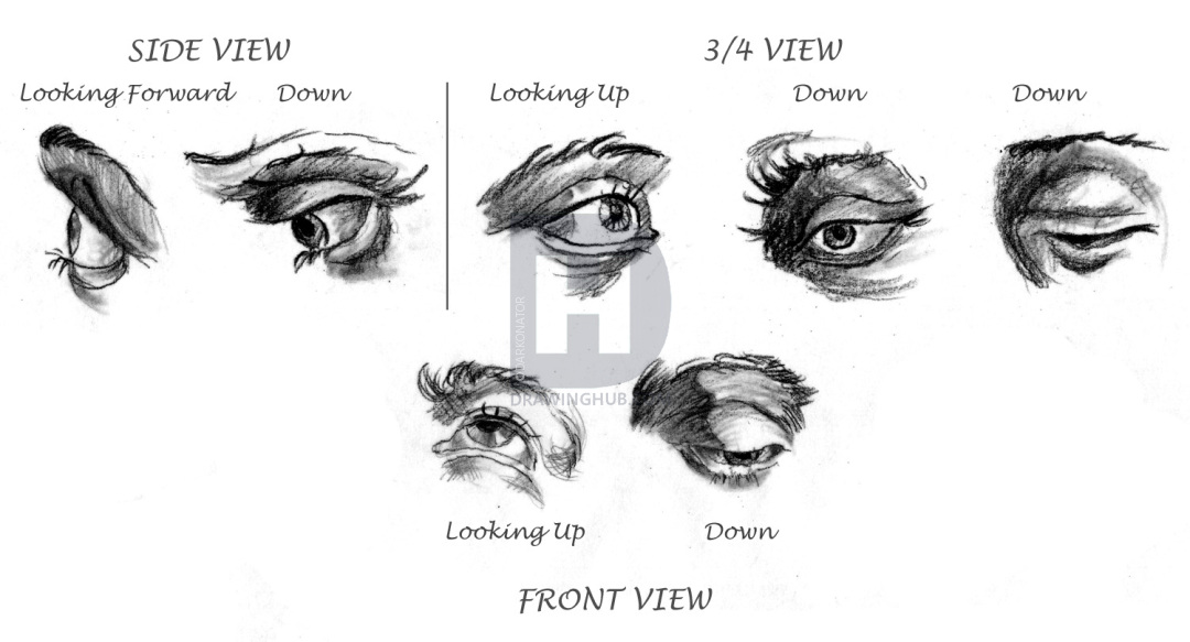 Eyes Looking Down Drawing at Explore collection of