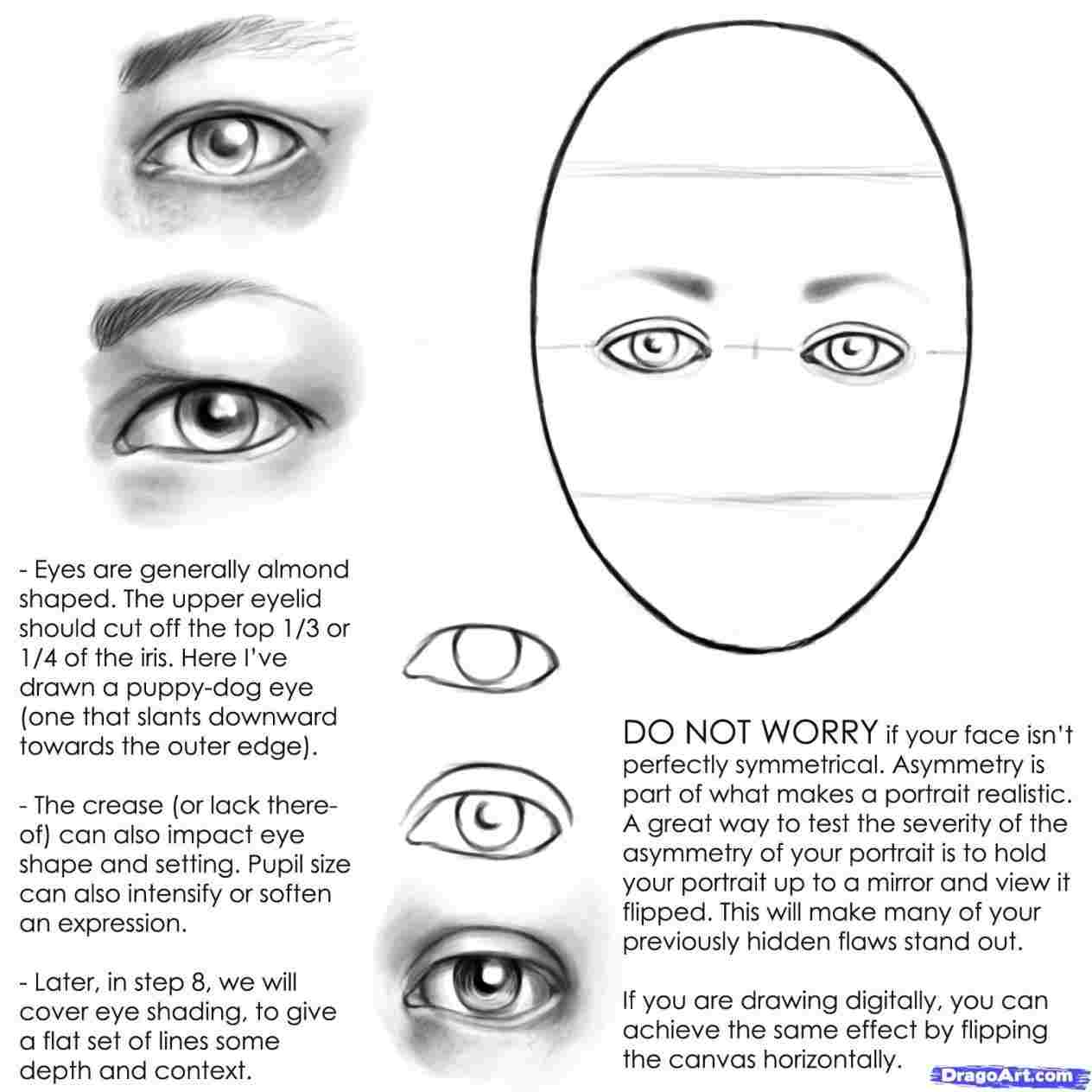 1264x1264 In N Oblong Rhcom Eyes How To Draw A Face Off A Picture - Eyes Looking Down Drawing