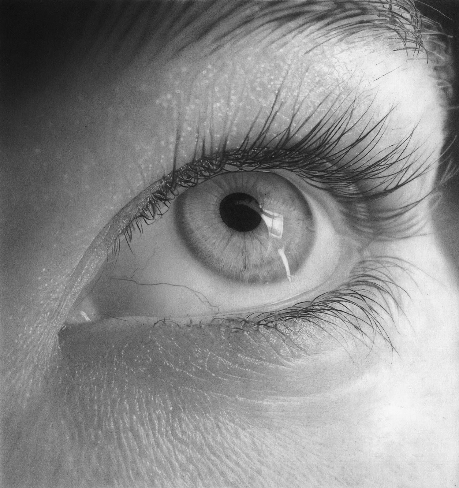 1500x1595 Eyes Wide Open The Detailed Pencil Drawings Of Flavio Apel - Eyes Looking Up Drawing