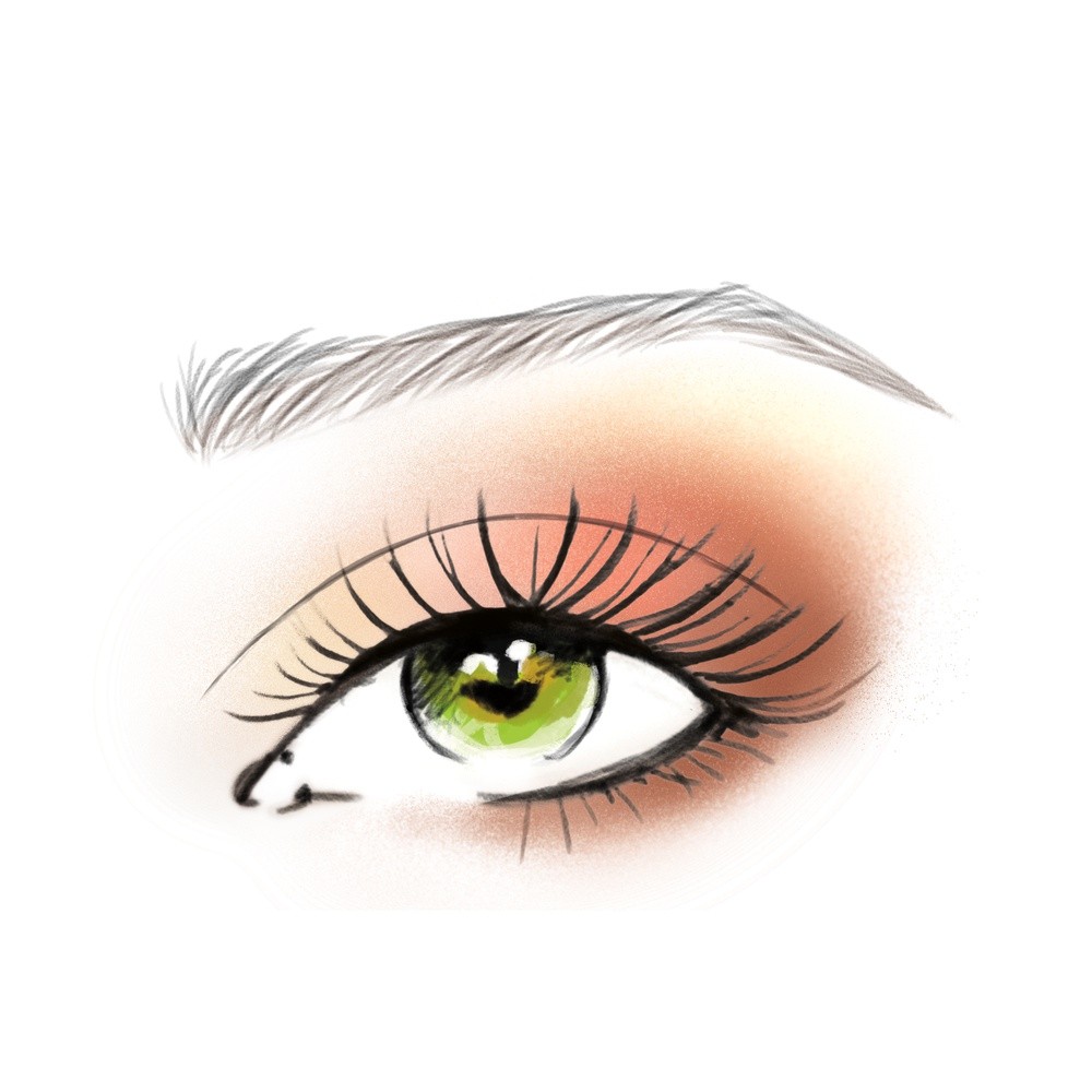 Eyeshadow Drawing At Paintingvalley.com 