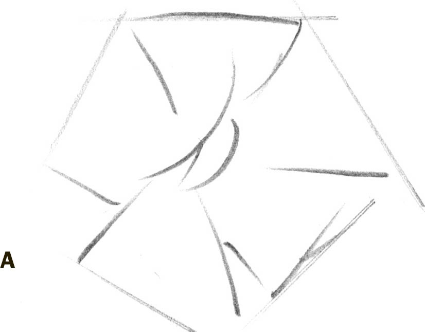 826x646 Primrose - F Drawing