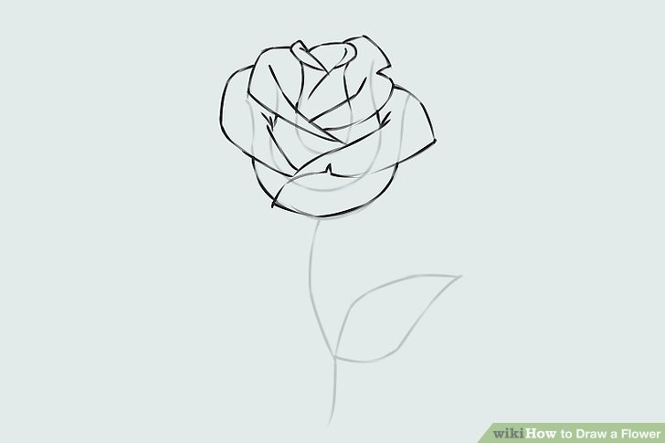 728x485 Easy Ways To Draw A Flower - F Drawing