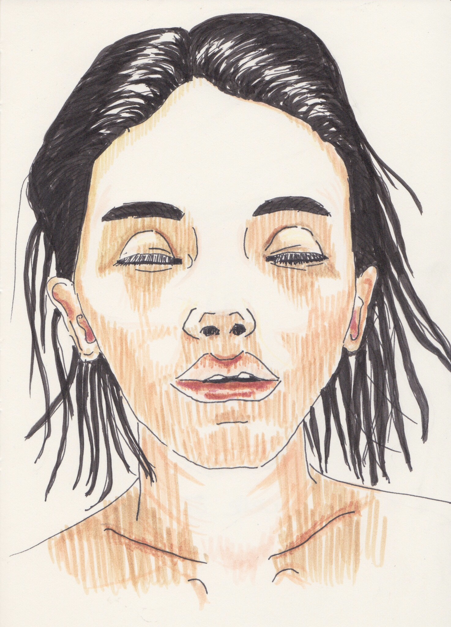 1474x2047 faber castell the hare sketches - Faber Castell Drawing