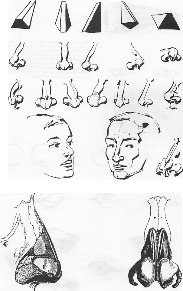 605x962 Drawing The Human Face How To Draw Head, Eyes, Nose, Mouth, Ears - Face Construction Drawing